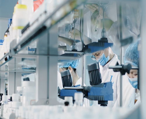 廣州蘿薇面膜代加工起訂量及信息咨詢服務(wù)指南